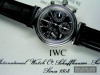 IWC DaVinci perpetual calender chronograph & moonphase.